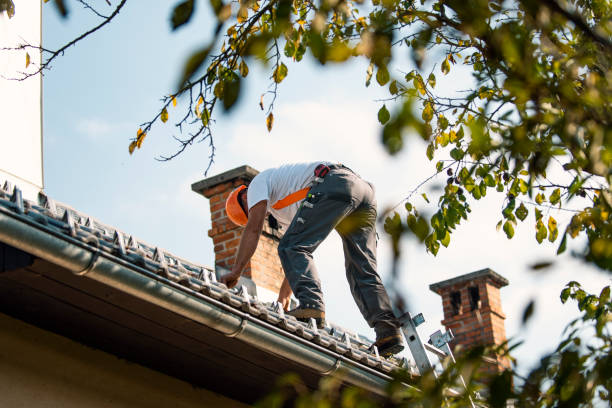 Best Residential Roofing Contractor  in Fanning Springs, FL