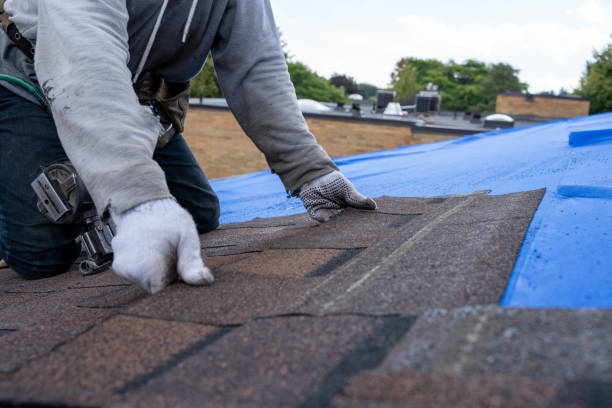 Best Flat Roof Repair Services  in Fanning Springs, FL