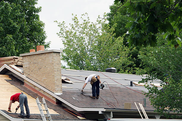 Best Shingle Roofing Installation  in Fanning Springs, FL