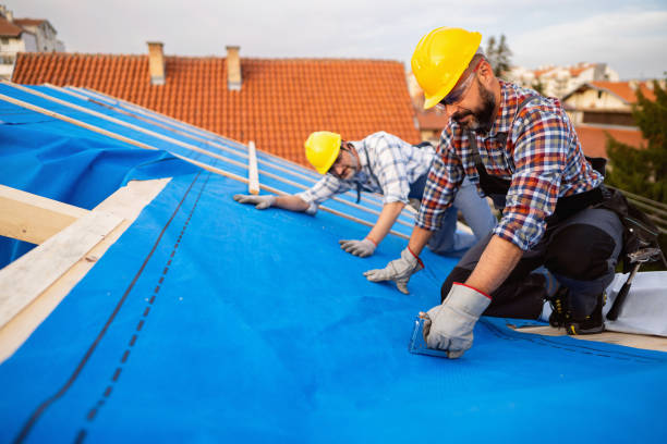 Best Residential Roofing Contractor  in Fanning Springs, FL