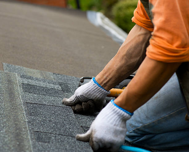 Best Commercial Roofing Services  in Fanning Springs, FL