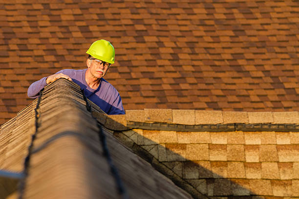 Best Flat Roof Repair Services  in Fanning Springs, FL
